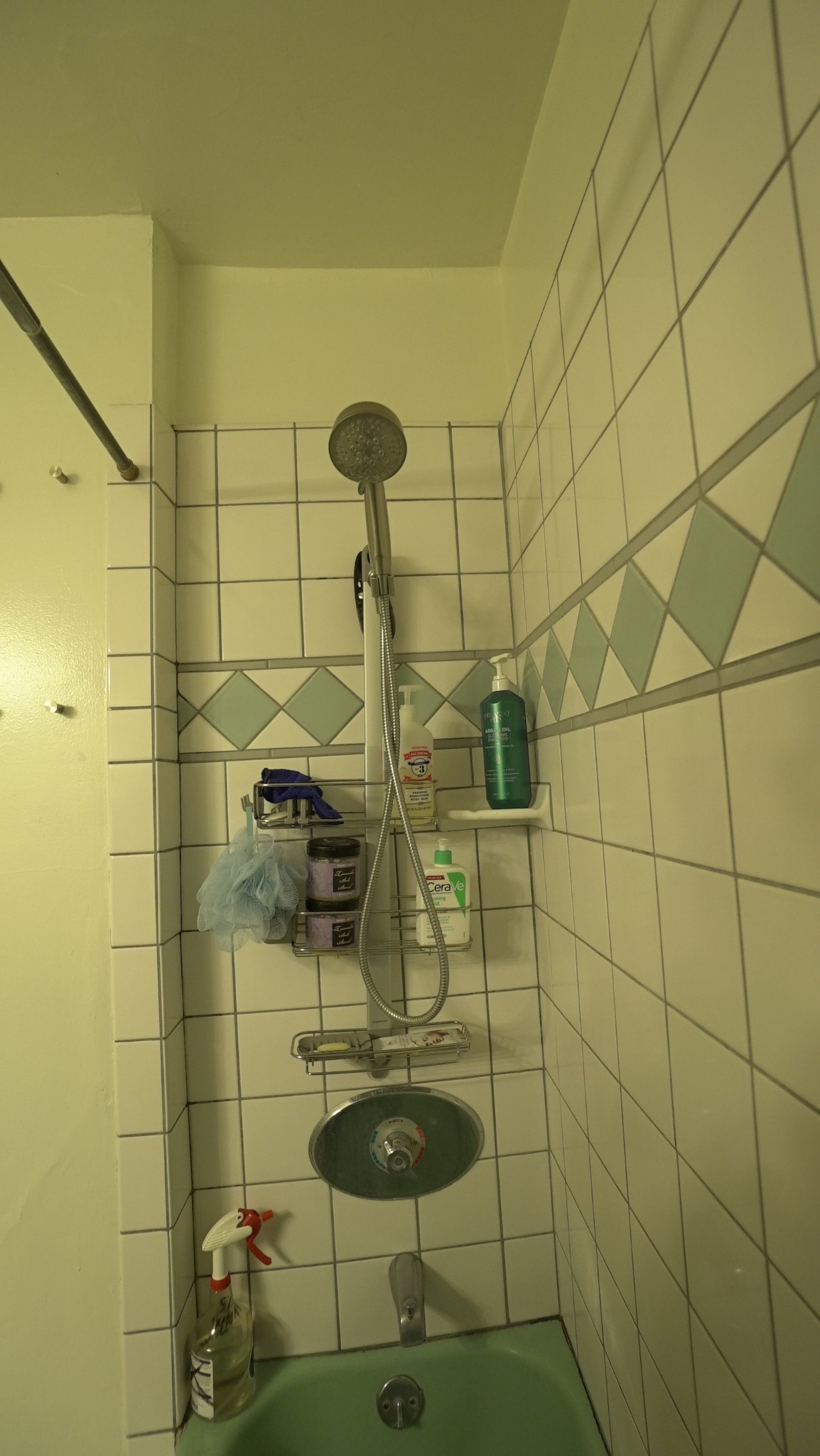 Shower detail in bathroom